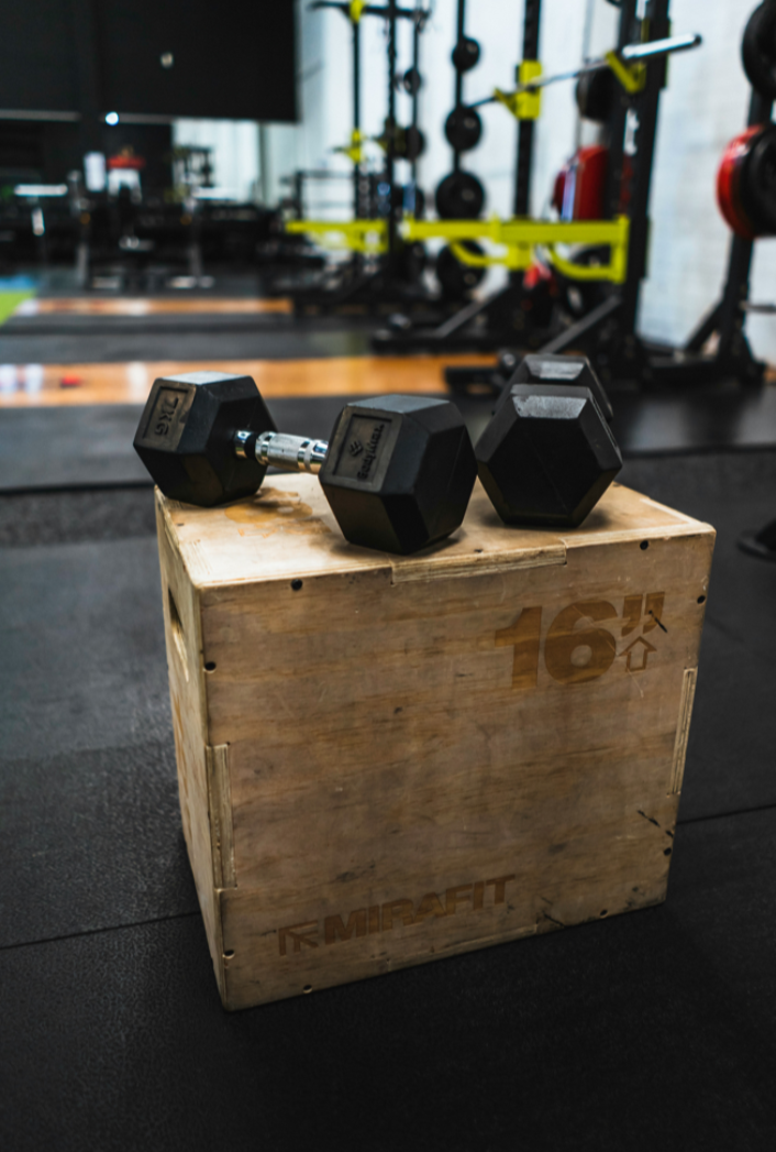Health & Fitness